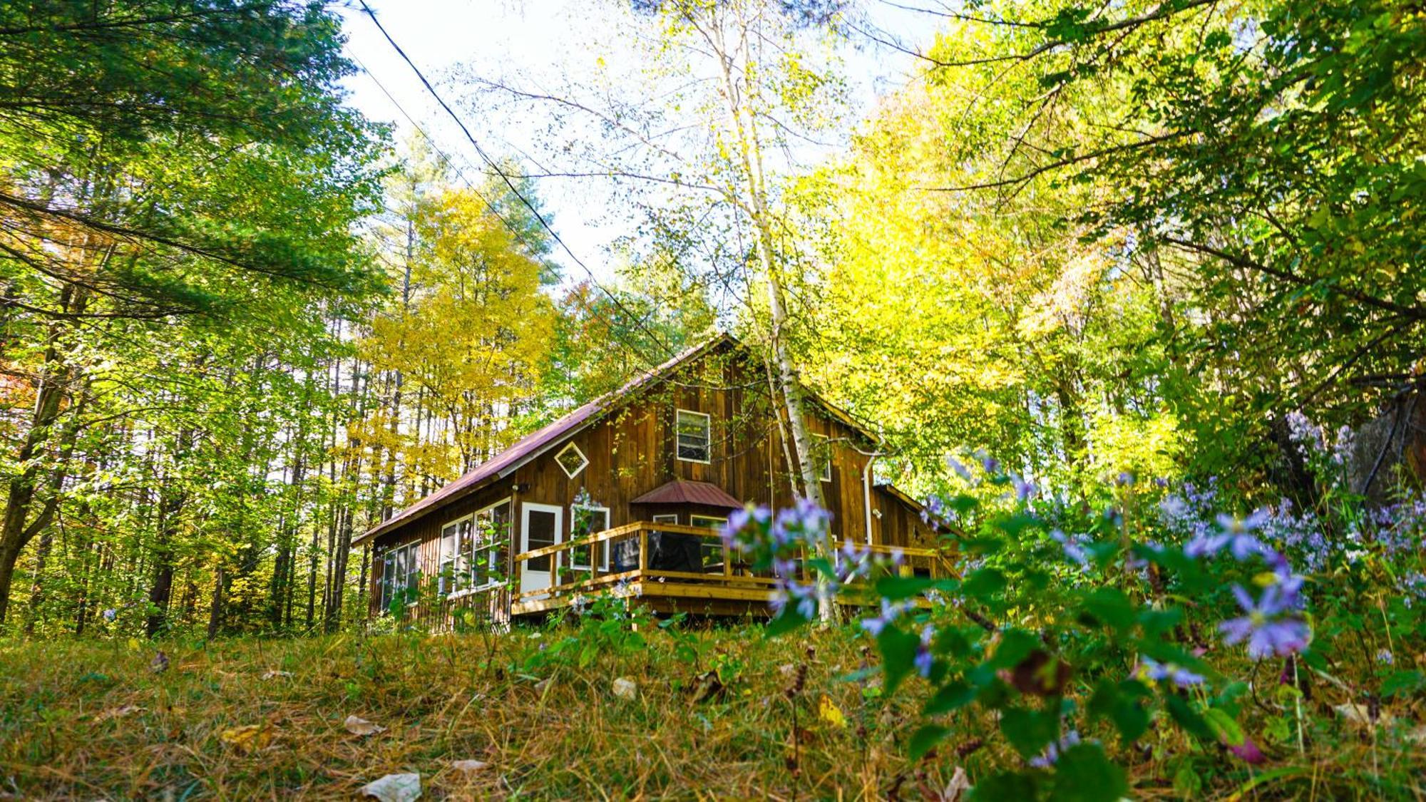 Llama House Adk Wevertown Eksteriør bilde